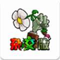 植物大战僵尸杂交版2.4版本