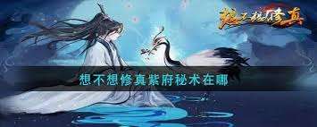 想不想修真紫府秘术获取位置