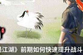 这就是江湖枪萌新如何快速上手