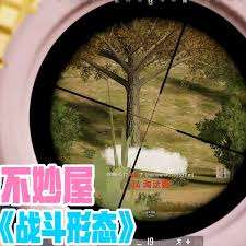 绝地求生战斗形态锅妹是什么