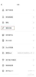 soul辅助聊天怎么使用