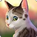Cat Rescue Story